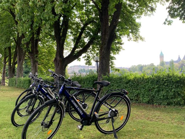 vélos électriques