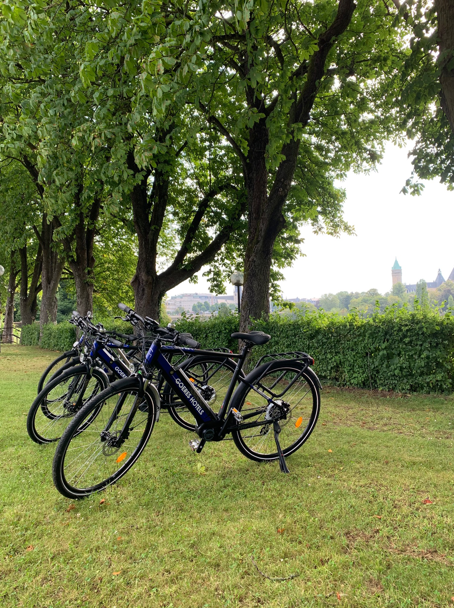 IMG_4943 vélos électriques